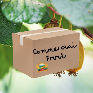 Value Fruit Box